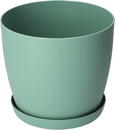 B2C Flower Pots 8 Sizes 6 Colours Matt Plastic Planter with Saucer Green 12 cm