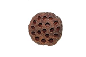 Worth Imports Large Loose Natural, Pick Lotus, Brown