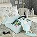 MEÉLIFE Foldable Fabric Underwear Organizer Bras Storage Box,Clothes Storage Drawer Basket Bins Containers with Lids Divider for Apparel Garments Socks Ties Scarves (Light Green)