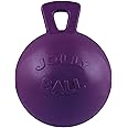 Jolly Pets Tug-N-Toss Ball Color: Purple, Size: 8" H x 6" W x 6" D