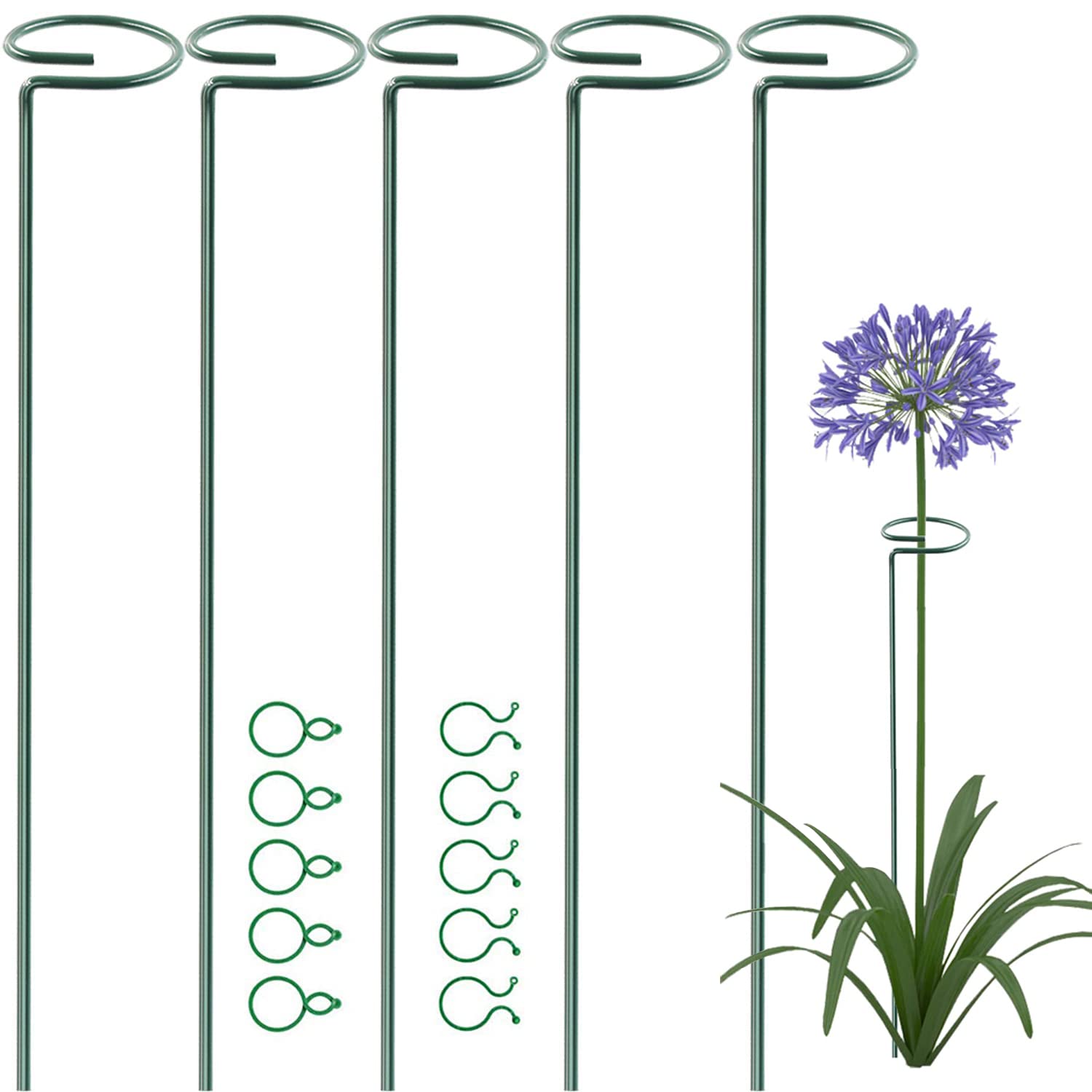 5 Pack 75 cm 29.5 inch Plant Support Stakes, Garden Single Stem Support Stake Amaryllis Plant Support Rings with 10 pcs Plant Clips for Tomatoes Orchid Lily Peony Flower Stem (75 CM)