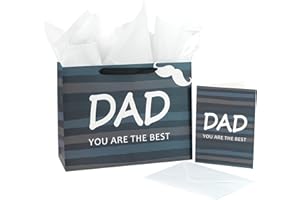 LeZakaa Father's Day Gift Bag, 13" Gray Stripe Gift Bag with Tissue Paper, Gift Tag and Card - DAD YOU ARE THE BEST Lettering Design