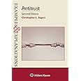 Antitrust (Examples & Explanations)