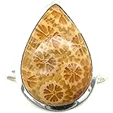 Natural Indonesian Fossil Coral 925 Solid Sterling Silver Ring Size 7