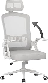 naspaluro Ergonomic Office Chair with Headrest, Mesh, Height Adjustable