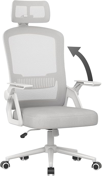 naspaluro Ergonomic Office Chair with Headrest, Mesh, Height Adjustable