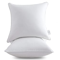 Oubonun 22 x 22 Throw Pillow Inserts