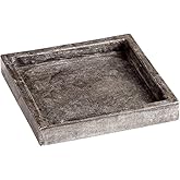 Gryphon - Tray-1.25 Inches Tall and 8 Inches Wide