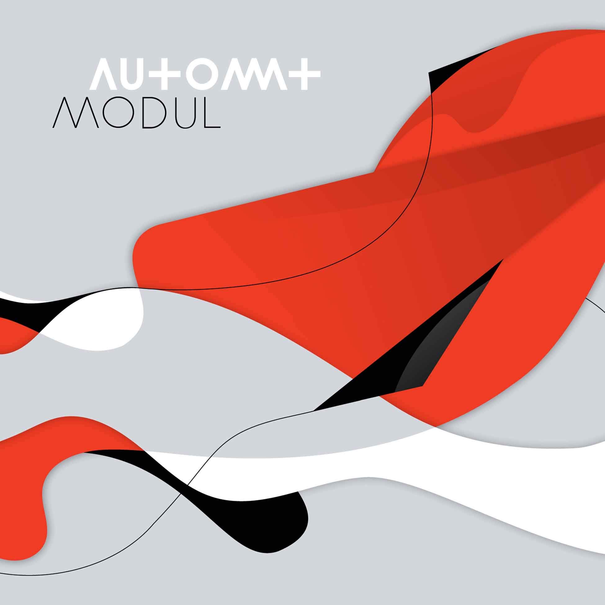 MODUL [VINYL]