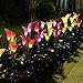Aloudy Solar Garden Stake Lights, Upgraded 3 Pack Outdoor Waterproof Solar Powered Lights with 12 Calla Lily Flowers, 7 Colors Changing LED Solar Lights for Garden, Patio, Backyard(Purple and White)