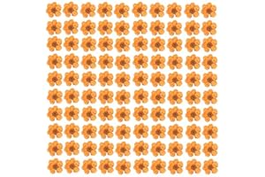 YUNZHI Pressed Flower for Resin Small Plum Blossom Narcissus, Dried Flower, Real Flower, Nail Flower Material, Glue Drop, Mobile Phone case, Hand Made 100pcs/pack (Orange)