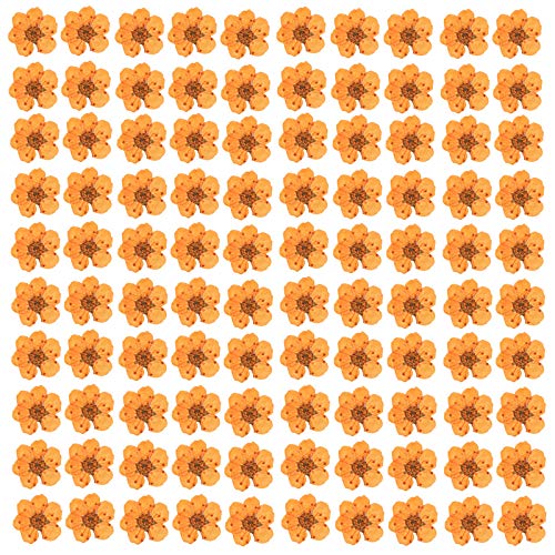 Photo 1 of YUNZHI Pressed Flower for Resin Small Plum Blossom Narcissus, Dried Flower, Real Flower, Nail Flower Material, Glue Drop, Mobile Phone case, Hand Made 100pcs/pack (Orange)