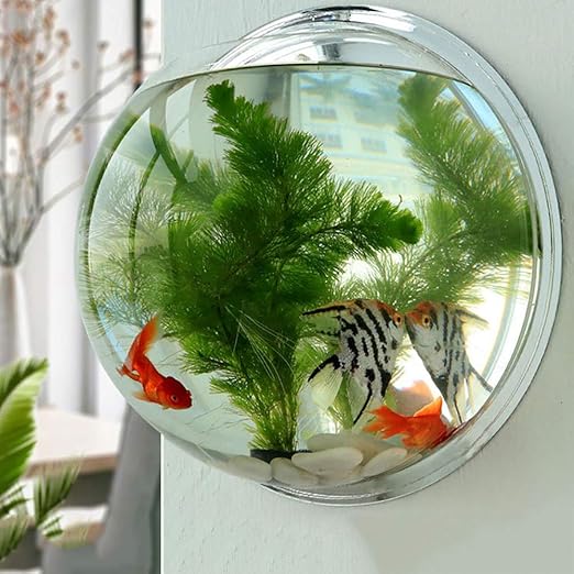 Florero De Pared De Planta Hidroponica Pecera Colgante De Pared