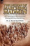 The Legion of Marching Madmen: Experiences of a British Soldier on Campaign in Mesopotamia During th by 