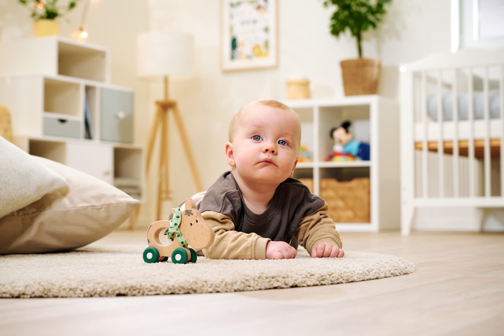 Eichhorn EH Baby Hipp Schiebe-Esel 2