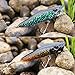Sougayilang Fishing Lure - ABS Hard Plastic Topwater Minnow Lure with Steel Ball Inside, Super Realistic Color, VMC Hooks, 3D Eyes for Carp Bass Salmon Trout Pike Fishing