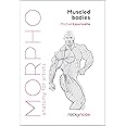 Morpho: Muscled Bodies: Anatomy for Artists (Morpho: Anatomy for Artists, 7)