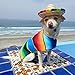 Dog Sombrero Hat - Funny Dog Costume - Chihuahua Clothes - Mexican Party Decorations (Dog Sombrero)