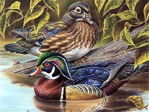 5D DIY Diamond Painting Full Square Diamond Embroidery Cross Stitch Mandarin Duck Home Decor