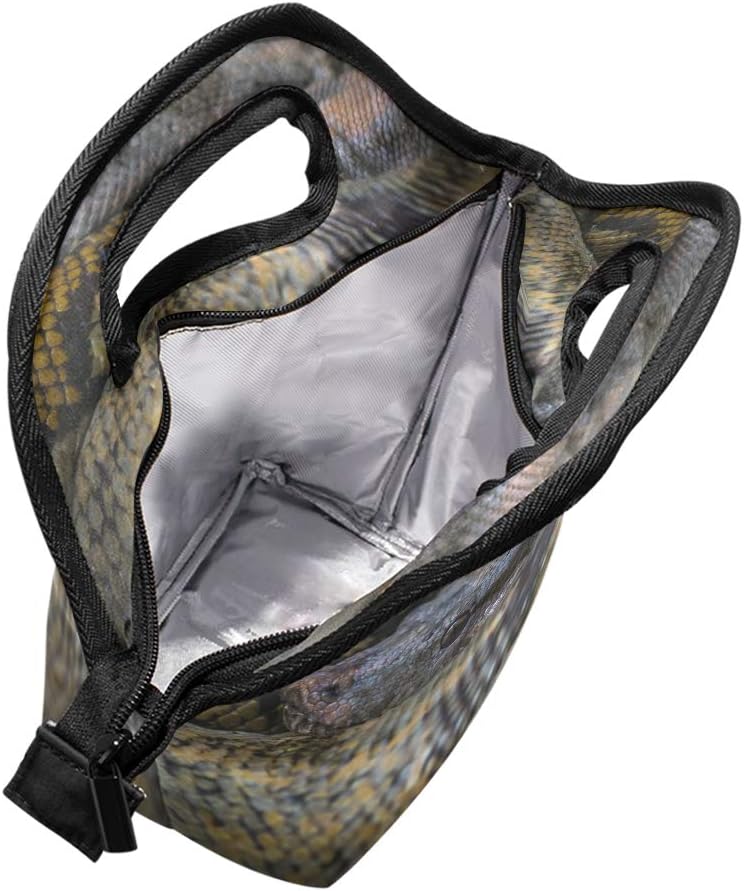 anaconda cooler bag
