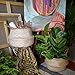 dufmod Small Natural Woven Seagrass Tote Belly Basket for Storage, Laundry, Picnic, Plant Pot Cover, and Beach Bag (Zigzag Chevron Natural Seagrass, Small)
