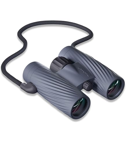 Amazon.com: Bushnell 260500 Nightvision, 2x40 Equinox Z Digital