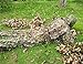 Hunting Ghillie Suit Camouflage Sniper 3D Tactical Yowie Sniper Hunting Clothes Bionic Ghillie Suit Camouflage Hunting Clothes Shooting Wildlife Photography
