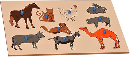 Kidken Montessori Insert Board Pet Animals Wooden Toy -Kids Teaching Educationacla Aids