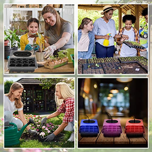 5 Set Seed Starter Trays Kit with 3 Grow Light, Seed Plant Starting Tray with Adjustable Red Purple Blue Lights Brightness & Humidity for Indoor Seed Growing Germinating, Heighten Lid/60 Cells