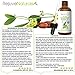 Jojoba Oil (2oz) USDA Certified Organic, 100% Pure, Cold Pressed & Unrefined by RejuveNaturals. Radiant, Moisturized & Youthful Skin & Hair. For Stretch Marks, Healthier Nails & Cuticles & Beard Oil