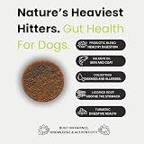 iKarmel Doggy Dailies Probiotics for Dogs 270 Chews Digestive Immunity view 5