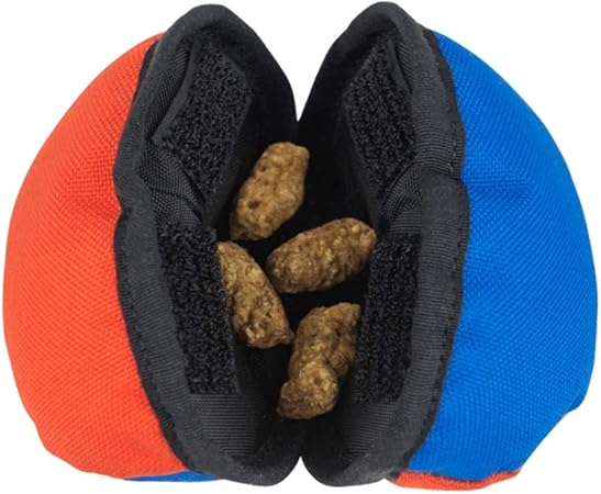 angry doberman pinscher