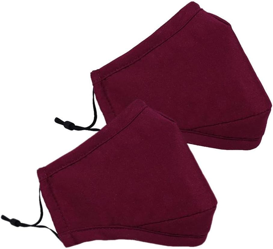 Lucky Will 2 Pcs Resuable Cotton Earloop Anti Dust Mouth Face Cover Mask Filter Ski Mask Winter Mask for Women Men deep red