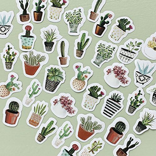 MiiSii 40PCS Decorative Stickers Sets Die-Cut Pack for Scrapbooking Planner Journal Notebook (Cactus)