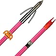 Fiberglass Arrow-Pink w/Chaos FX Point & AMS EverGlide Safety Slide