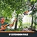 Worx WG321 20V Power Share JawSaw Cordless Chainsaw with 5ft Extension Pole