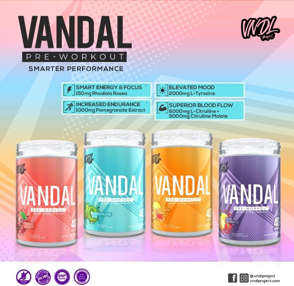 Vandal | Pre Workout Powder - All Natural & Safe Nootropic Pre Workout Supplement for Men & Women | Boosts Energy, Focus, Performance & Recovery | No Tingles, No Jitters, No Crash. | 40 Servings.: Health & Personal Care