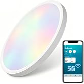 HomeKit Smart LED Ceiling Lights RGBCW Color Changing Ceiling Light Work with Apple HomeKit, Alexa Google Home Flush Mount Ceiling Lamp 24W Dimmable for Living Room, Bedroom 5G Hz/2.4G Hz Support
