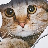 ULAKY 3D Animal Pet Wall Stickers Vivid Loch View Cute Cats Ctickers 3D Animal Pet Decorative Bathroom Wall Stickers Personality Home Decor