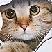 ULAKY 3D Animal Pet Wall Stickers Vivid Loch View Cute Cats Ctickers 3D Animal Pet Decorative Bathroom Wall Stickers Personality Home Decor