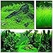 ZEROYOYO Aquarium Plants Seeds Aquatic Double Leaf Carpet Water Grass, for Fish Tank Rock Lawn Garden Decoration (C)