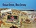 Greetings from Ocean Grove, New Jersey (Schiffer Book) by