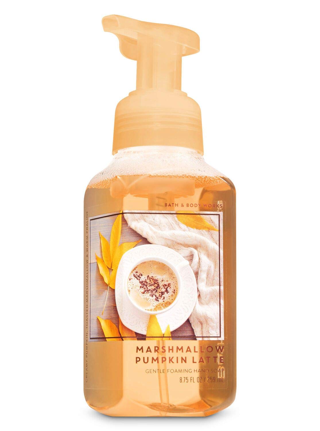 Bath and Body Works Fall Favorites - Set of 5 Foaming Hand Soaps - Sweet Cinnamon Pumpkin, Marshmallow Pumpkin Latte, Crisp Morning Air, Afternoon Apple Picking, Warm Autumn Glow : Beauty