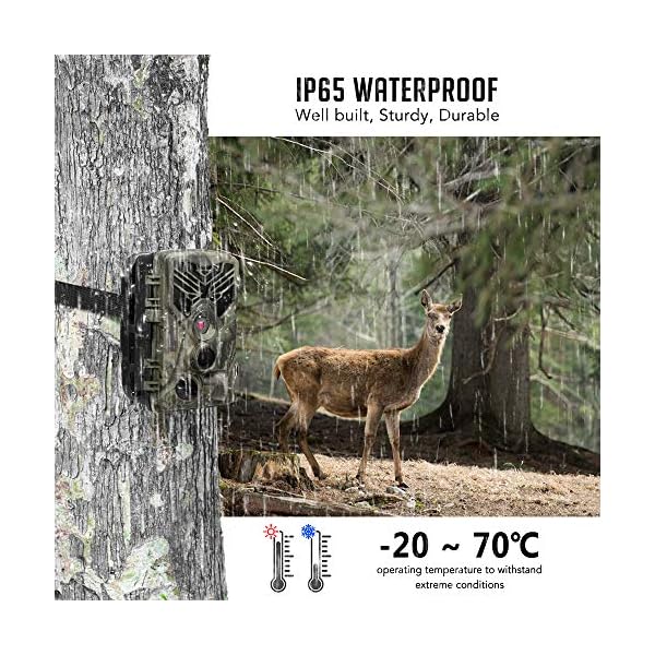 Lixada Wildkamera 16MP 1080 P Trail Kamera Jagd Spiel Kamera Wildlife Scouting Kamera mit PIR Sensor Infrarot Nachtsicht… – Bild 7