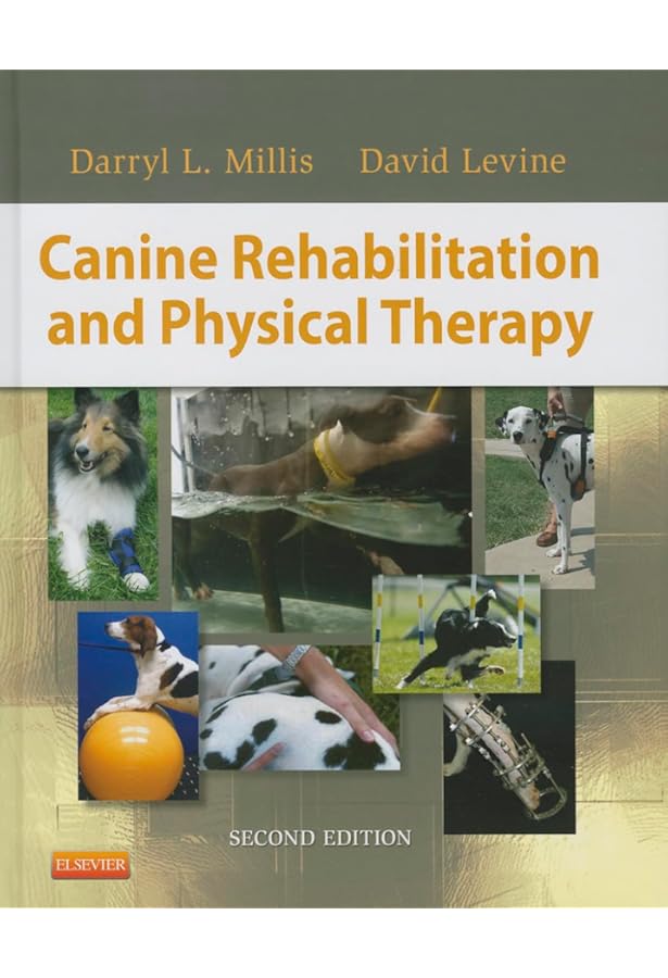 Canine Sports Medicine and Rehabilitation: 9781119380382: Medicine