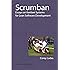 Scrumban essays on kanban systems for lean software development ebook picture