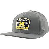 Michigan Wolverines NCAA Officially Licensed Fitted Hat M15Z Switchback Gray, Medium