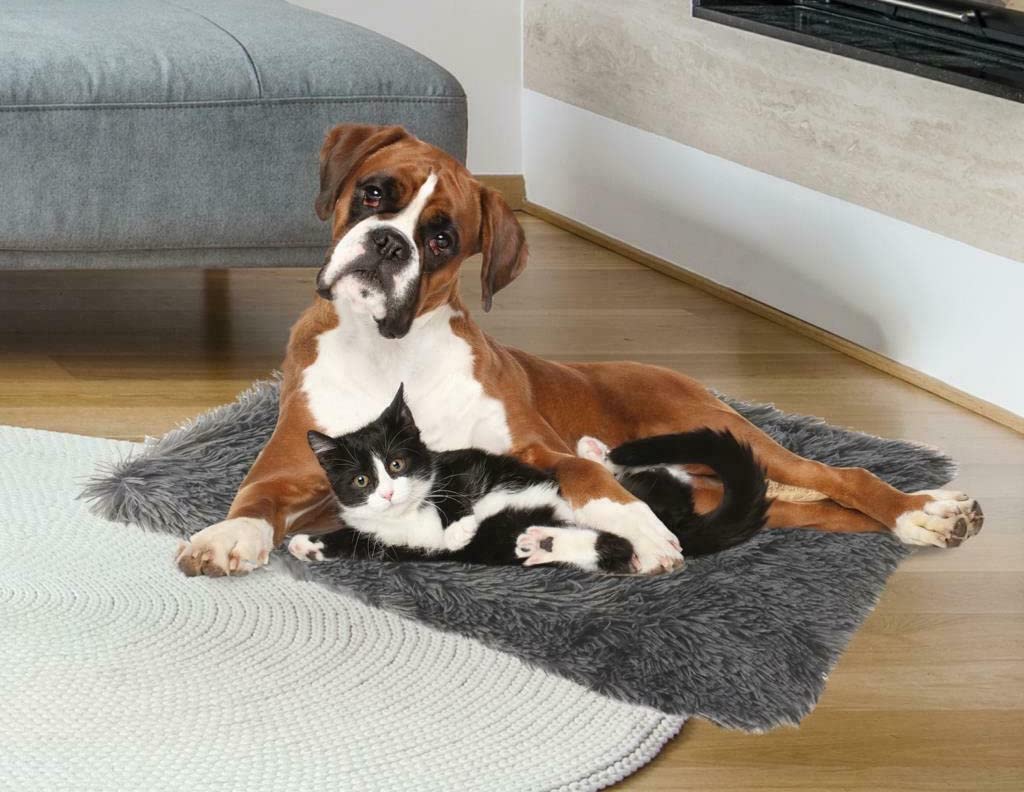 ADEPTNA Grey Luxury Throw for Pet Dog Cat Puppy Soft Fluffy Microfibre Fleece Blanket Cosy Warm and Breathable Comfort in all seasons - Great for Cats and Dogs (LARGE - 75cm X 110cm)