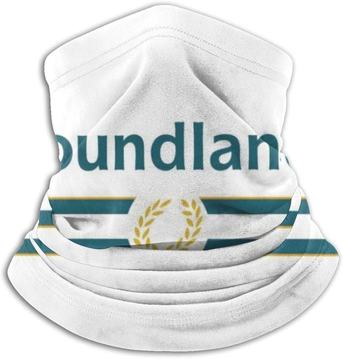 poundland outdoor toys