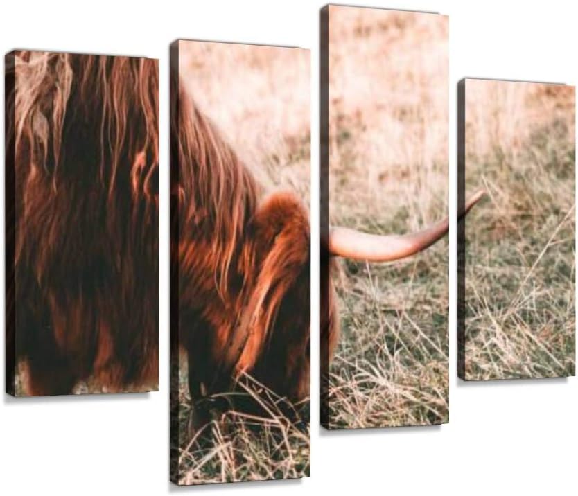 Amazon Com Yking1 Highland Cow With Brown Long Hair Highland Cows